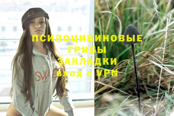стафф Белоозёрский