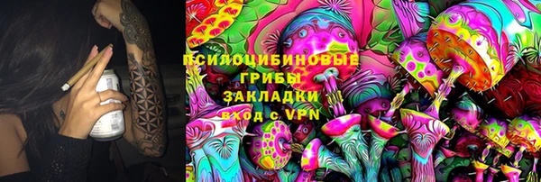 jwh Белокуриха